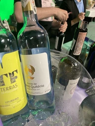 Вино Vercoope Fonte de Santa Quitéria Vinho Verde Reno DOC белое сухое 0.75 л 9.5% (5601448098137) фото от покупателей 5