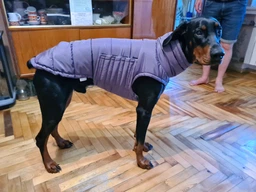 Пуховик Noble Pet Bobby Navy M (B4118/M) фото от покупателей 1
