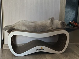 Когтеточка картонная Say Meow Grace, 67 см х 27 см х 24 см фото от покупателей 1
