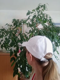 Кепка Puma ESS Cap 05291902 One Size Біла (4056204300848) фото від покупців 13