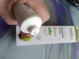 Зубная паста Melica Organic c экстрактом каштанa 100 мл (4770416002252)