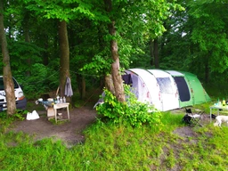 Намет Easy Camp Palmdale 600 Lux Forest Green (928312) фото від покупців 2