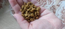 Сухой корм GEMON CAT Sterilized (Light stirility) с индейкой - 20 кг фото от покупателей 4