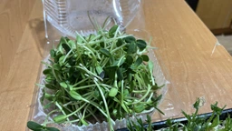 Набір для вирощування мікрозелені Panda microgreen на 7 врожаїв (7 видів культур) фото от покупателей 6