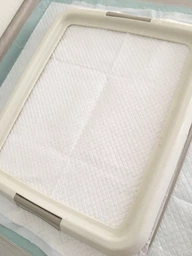 Туалет для собак Trixie 49x41 см, бежевый/кремовый фото от покупателей 3