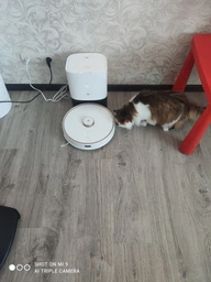 Робот-пилосос Xiaomi Viomi S9 Robot Vacuum Cleaner White (V-RVCLMD28A) [74371] фото від покупців 8