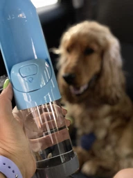 Портативна поїлка, похідна пляшка для собак з фільтром ELS Pet на 300 мл (Рожевий) фото від покупців 2