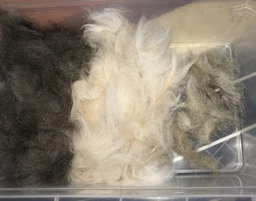 Фурминатор для котов с длинной шерстью FURminator размер L (691662) (4048422141280)