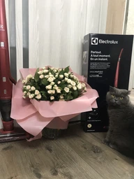 Акумуляторний пилосос ELECTROLUX EER7ANIMAL фото від покупців 8