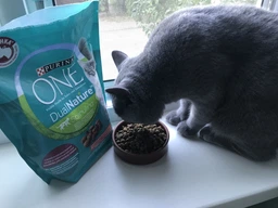 Сухий корм для кішок Purina One DualNature з спіруліна 750 г (7613036257633)
