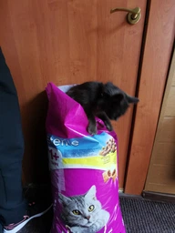 Сухий корм для стерилізованих котів Whiskas з куркою 1,75 кг фото від покупців 1