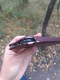 Чохол-книжка Logarm Protective для Samsung M205F Galaxy M20 Чорний Без бренду фото від покупців 3