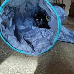Trixie Тунель тканинний для котів,в асортименті фото от покупателей 15