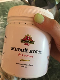 Живой корм для рептилий - Зофобас 250 шт. Ладья-2 фото от покупателей 3