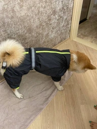 Комбінезон для собак Pet Fashion «RAIN» 6-XL (червоний) фото від покупців 13