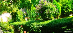Кусторез электрический Bosch EasyHedgeCut 45 (0600847A05) фото от покупателей 16