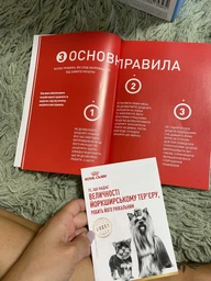 Сухой корм Royal Canin Yorkshire Terrier Puppy для щенков породы йоркширский терьер в возрасте от 2 до 10 месяцев 0,5 кг фото от покупателей 8