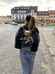 Рюкзак-переноска для собак и кошек Trixie TBag 42 х 29 x 21 см до 8 кг Черный с серым (4011905028828) фото от покупателей 4