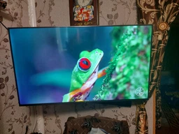 Телевизор Xiaomi Mi LED TV 4S 55" UHD 4K (L55M5-5ARU) фото от покупателей 9