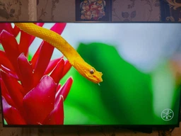 Телевизор Xiaomi Mi LED TV 4S 55" UHD 4K (L55M5-5ARU) фото от покупателей 7
