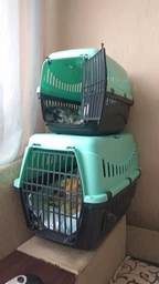 Переноска MP Bergamo Gipsy 1 small пластиковая дверца 46x31x32h см Light Green (8058093276484)