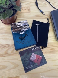 Музичний інструмент Калімба 17 key Kalimba Blue Dolhpine фото від покупців 3