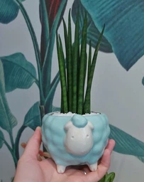 Керамічне кашпо для рослин Mini Plant Овечка тваринка м’ятна, розмір 7,5 х 8,5см фото від покупців 2