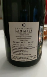 Шампанское Lamiable Terre D`Etoiles Brut Grand Cru белое брют 0.75 л 12.5% (2153705537055) фото от покупателей 1