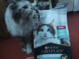 Сухой корм Purina Pro Plan LiveClear для стерилизованных кошек старше 7 лет, с индейкой 1.4 кг (7613287232731) фото от покупателей 1