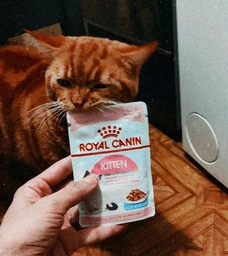 Вологий корм Royal Canin Kitten Instinctive In Jelly для кошенят віком до 12 місяців 85г фото від покупців 2