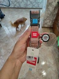 Ошейник для собак из восстановленного хлопка WAUDOG Re-cotton с QR паспортом светоотражающий пластиковый фастекс Ш 25 мм Дл 33-49 см (02929Collar) фото от покупателей 8