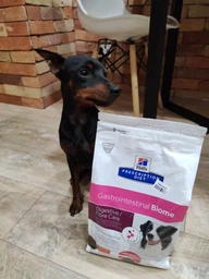 Лікувальний корм Hill's PD Canine Gastrointestinal Biome 10 кг (605996)