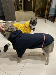 Куртка-дощовик для собак Noble Pet Moss Yellow M-Short (M4108/M-Short) фото от покупателей 1
