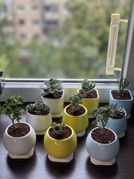 Керамический горшок для суккулентов Mini Plant маленького размера 6,4х6,5см Квадратный Бирюзовый фото от покупателей 6