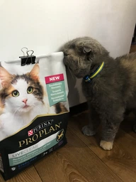 Сухой корм Purina Pro Plan LiveClear для стерилизованных кошек старше 7 лет, с индейкой 1.4 кг (7613287232731)