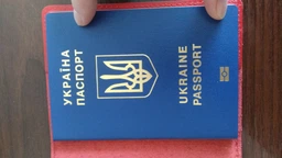Шкіряна обкладинка на паспорт SHVIGEL з натуральної шкіри коричневого кольору унісекс (bg139fash76) фото від покупців 6