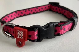 Нашийник для собак нейлоновий Collar WAUDOG Nylon з QR паспортом, малюнок "Кавун", пластиковий фастекс, XS, Ш 10 мм, Дов 20-30 см (5226)