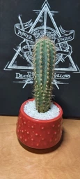 Керамічний горщик для кактусів Mini Plant розмір XS 4,9x5,2см Червоний Bubble