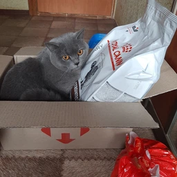 Сухой корм Royal Canin Gastrointestinal Fibre Response Cat для кошек при расстройствах пищеварения 0.4кг фото от покупателей 4