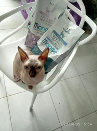 Сухой корм MONGE CAT Sterilised с треской - 1,5 кг фото от покупателей 3