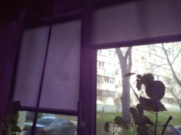 Ролета тканинна Len 875 Бежевий 105x160 см