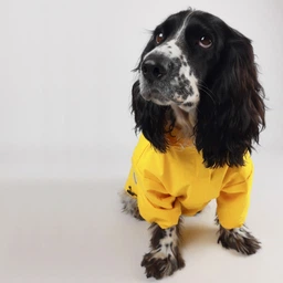 Куртка-дощовик для собак Noble Pet Moss Yellow M-Short (M4108/M-Short) фото от покупателей 8