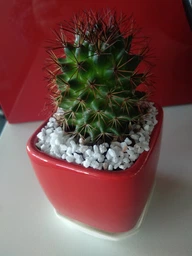 Керамический горшок для суккулентов Mini Plant маленького размера 6,4х6,5см Квадратный Бирюзовый фото от покупателей 3