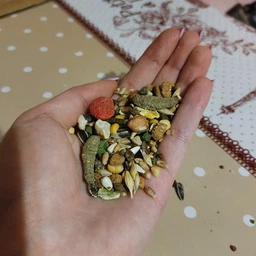 Корм гриз VERSELE-LAGA СRISPY MUESLI 611692 20кг фото від покупців 19