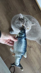Іграшка для кота вібруюча жива риба CAPSBOARD FISH (340002) фото від покупців 2