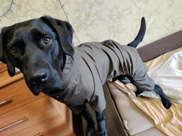 Комбінезон Travis 4XL Khaki (T4123/4XL)