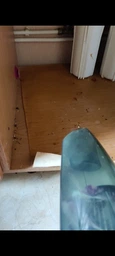 Автомобильный портативный пылесос Grikey В2 с насадками, 6кПа, 120W, Черный (GK450) фото от покупателей 3