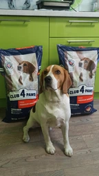 Cухой корм CLUB 4 PAWS PREMIUM Клуб 4 лапы для взрослых собак средней породы, 14 кг фото от покупателей 12