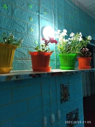 Светильник LED накладной ELM Vega 13Вт 6500К съемный плафон IP40 круглый (26-0050)