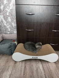 Кігтеточка дряпка з гофрокартону лежанка для котів з картонним фасадом Cat Joy Modern Whitish 54x13x25 см